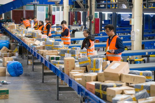 春节快递服务全解析 工程技术服务视角下的企业选择指南